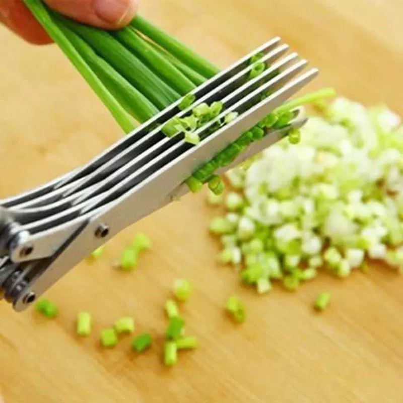 2Pcs Stainless Steel Multi-Lay - огляд і ціна Herb Scissors 5 Blade