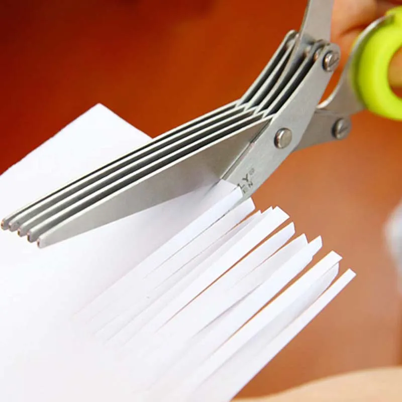 5 Layers Blade Scallion Scisso - огляд і ціна Herb Scissors 5 Blade