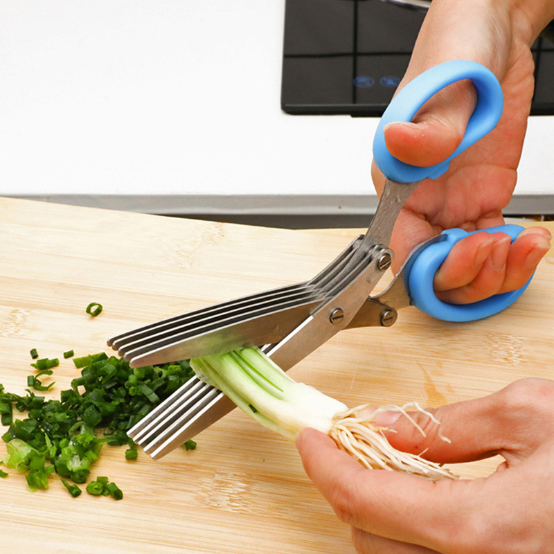 Multifunctional Steel 5 Layers - огляд і ціна Herb Scissors 5 Blade