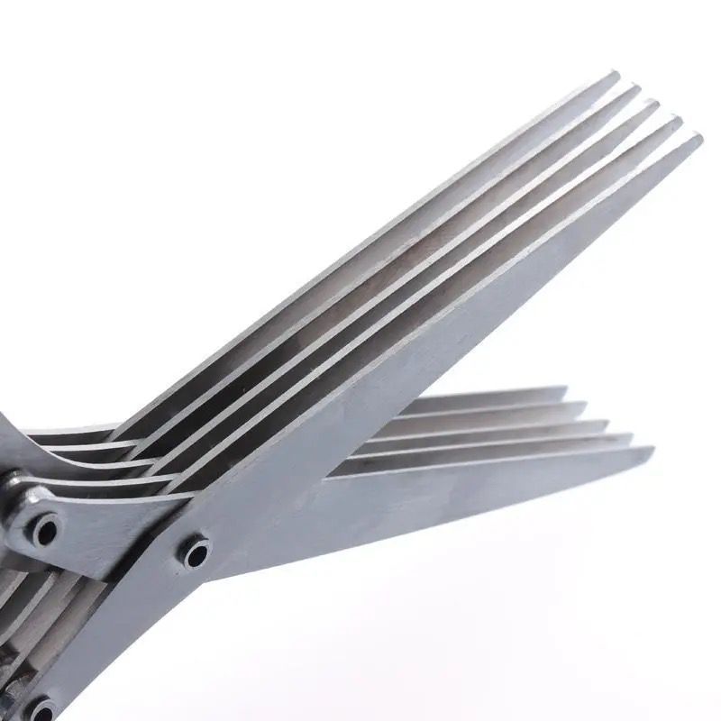 Multifunctional Steel 5 Layers - огляд і ціна Herb Scissors 5 Blade