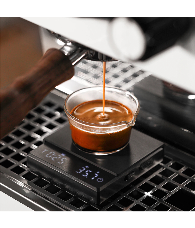 Kitchen Coffee Scale with Time - огляд і ціна Digital Kitchen Scale